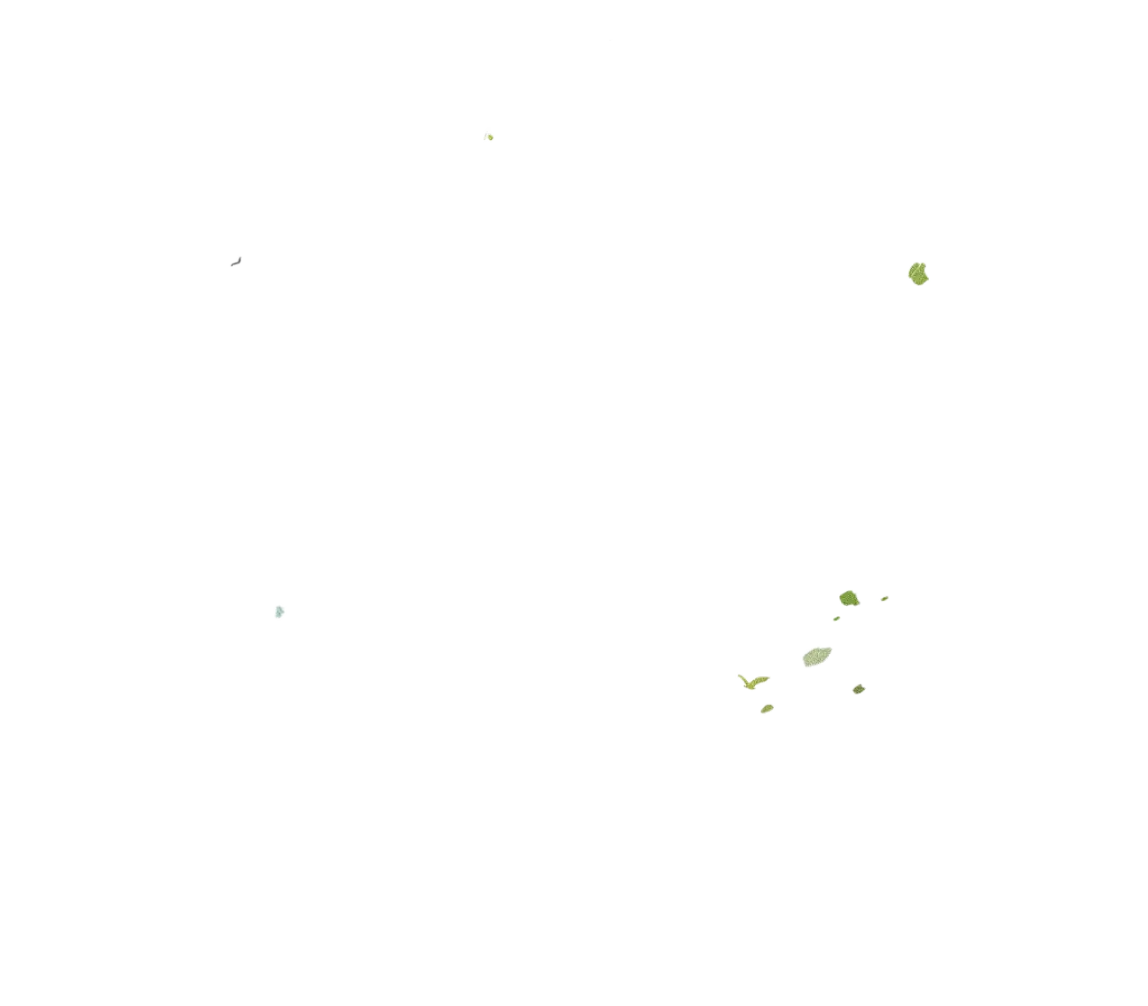 leaves2