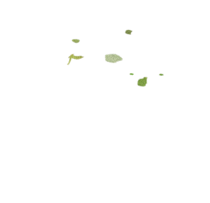 leaves3