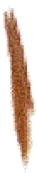 reed1